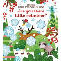 Usborne Are You There Little Reindeer
