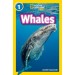 National Geographic Kids Whales Level 1