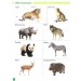 Viva Picture Dictionary animals