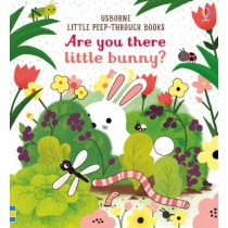 Usborne Are you there little Bunny