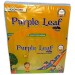 Headword Purple Leaf Foundational Kits For Junior KG