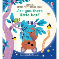 Usborne Are You There Little Bat