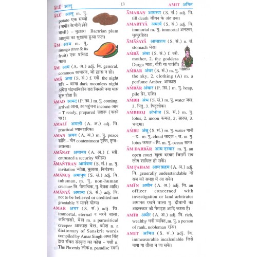 S Chand S Hindi English Hindi Dictionary