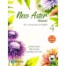 Pearson New Aster Advanced English Coursebook 4