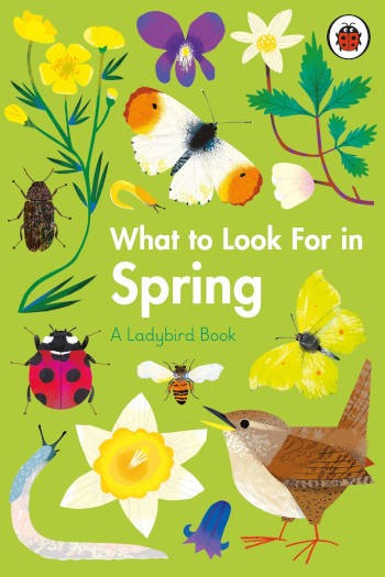 Ladybird What to Look For in Spring