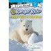 Ranger Rick: I Wish I Was a Polar Bear