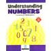 Madhubun Understanding Numbers Primer B