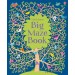 Usborne Big Maze Book