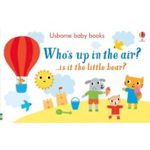 Usborne Who's up in the Air?