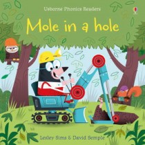 Usborne Mole in a Hole