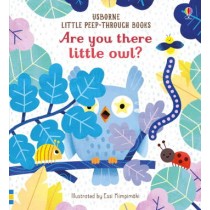 Usborne Are you there little Owl