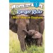 Ranger Rick: I Wish I Was an Elephant