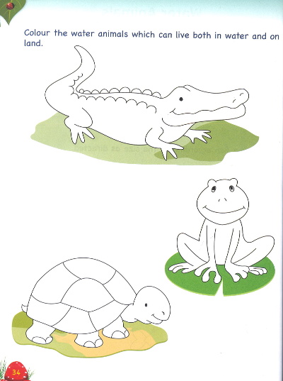 Viva Young Learner Environmental Studies Book 2 exercise