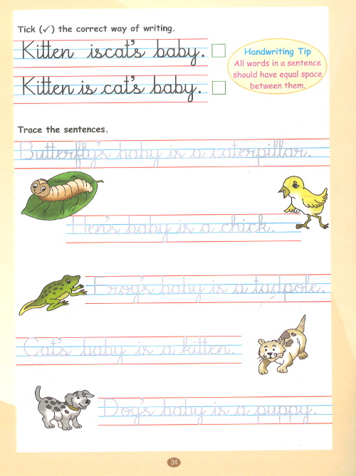 Viva Write It Right Cursive Handwriting content 1