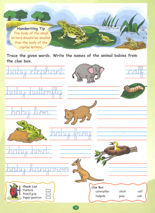 Viva Write It Right Cursive Handwriting 2