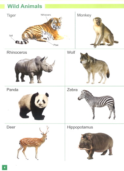 Viva Picture Dictionary animals