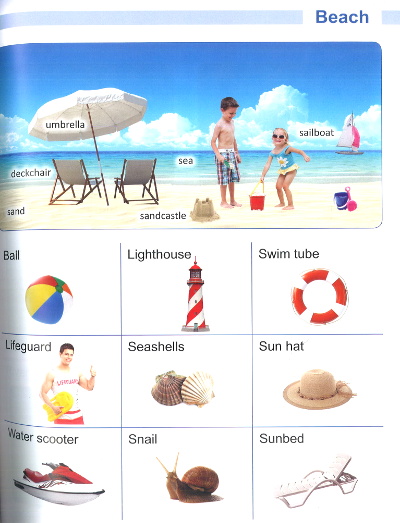 Viva Picture Dictionary beach