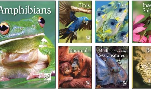 Animal Lives Encyclopedia Books