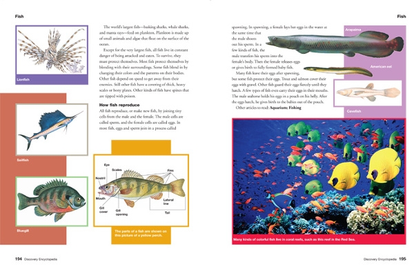 Discovery Encyclopedia 2013 Edition P1
