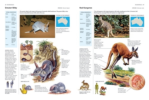 Animals and Their Habitats