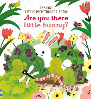 Usborne Are you there little Bunny