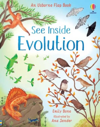 Usborne Flap Book See Inside Evolution