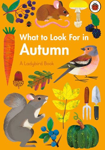 Ladybird What to Look For in Autumn