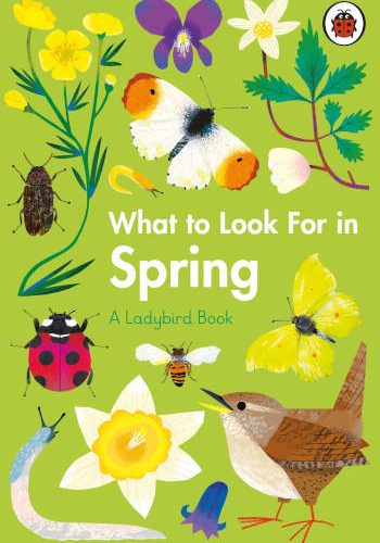 Ladybird What to Look For in Spring